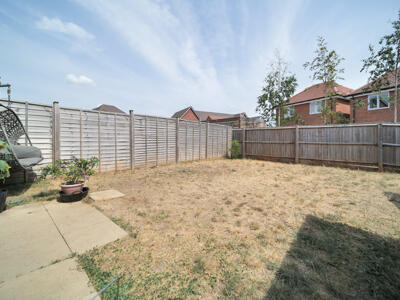 Picture 13